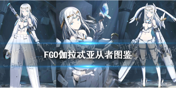 fgo伽拉忒亚技能宝具图鉴