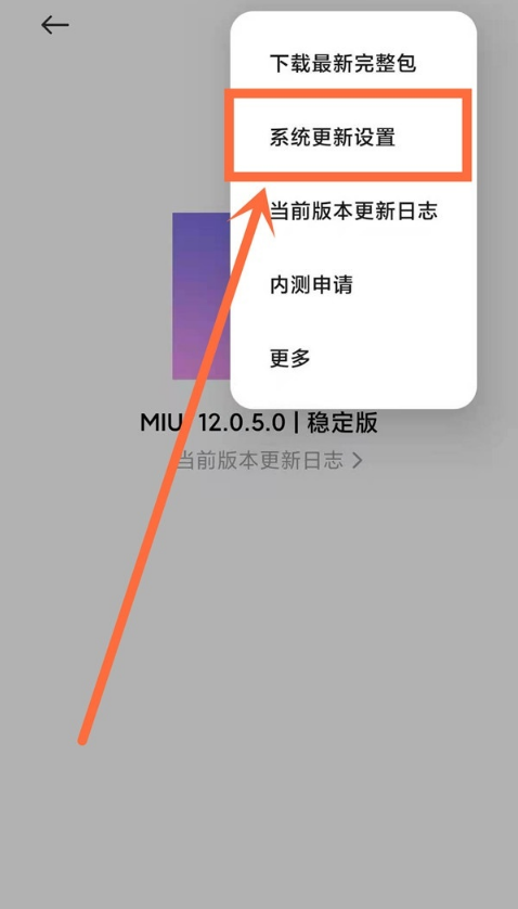 如何关闭红米note10自动升级系统?红米note10关闭自动升级系统步骤截图