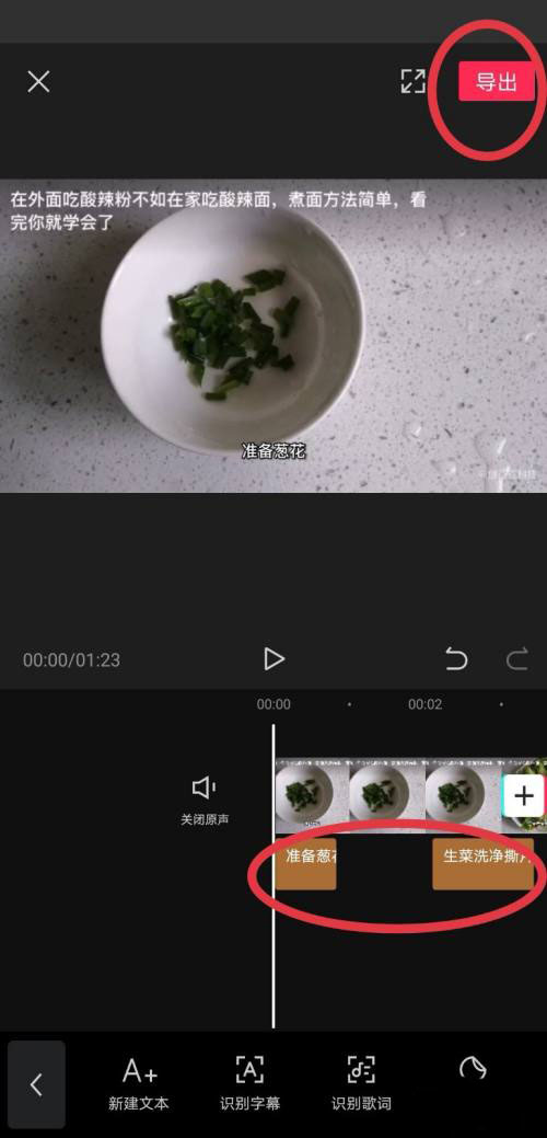 剪映自动匹配字幕步骤是什么?剪映自动匹配字幕步骤分享截图