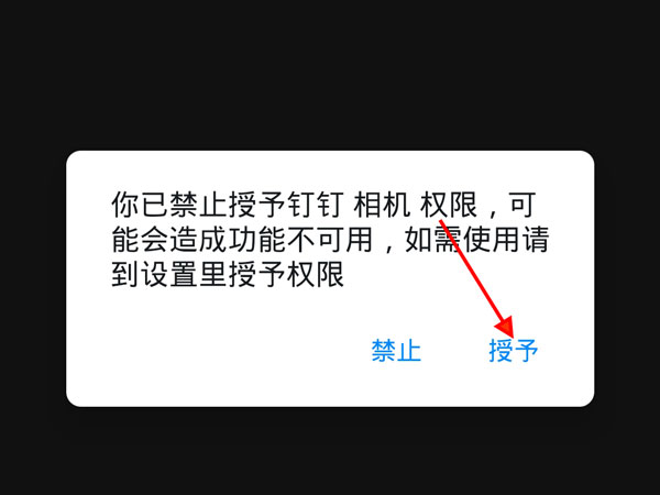 钉钉在线课堂如何打开摄像头?钉钉在线课堂打开摄像头的方法截图