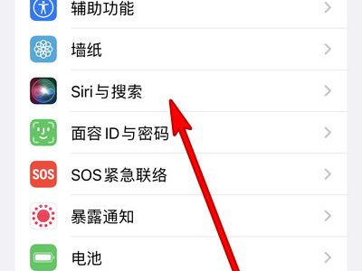 iphone13mini如何设置语音唤醒siri？iphone13mini开启siri语音唤醒方法截图