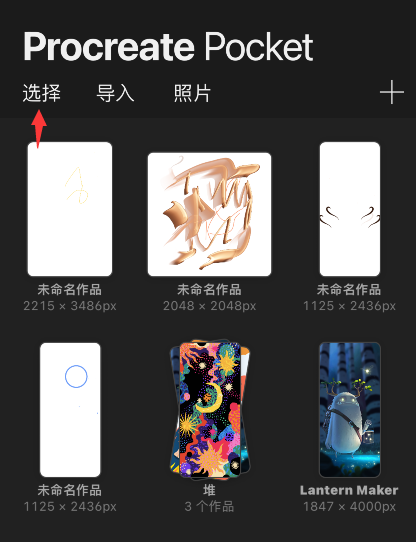 procreate pocket怎么预览作品？procreate pocket预览图片教程截图