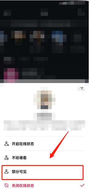 抖音在线状态部分可见怎么设置？抖音在线状态部分可见设置教程截图