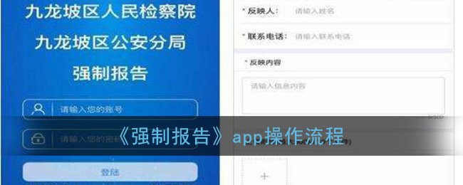 强制报告app操作流程