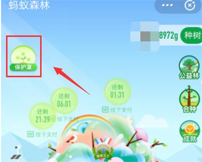 支付宝弄种树彩色树的方法步骤