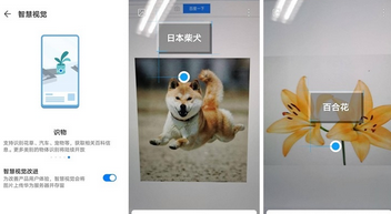 荣耀30s智慧视觉作用介绍