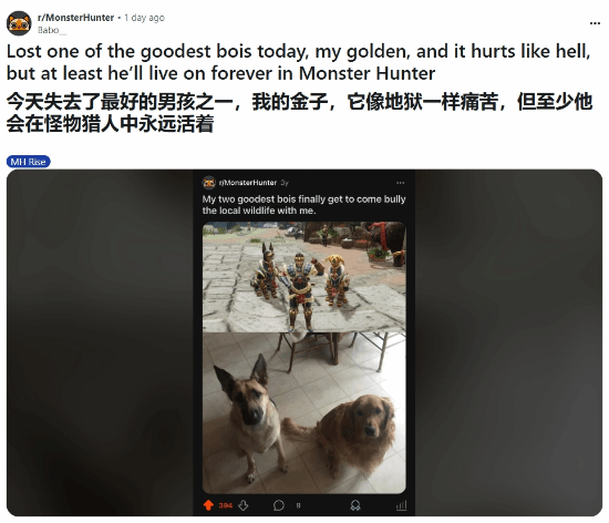 《怪物猎人》成情感寄托，玩家痛失爱犬，网友暖心安慰