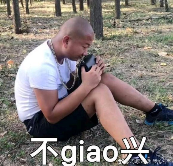 giao哥表情包大全