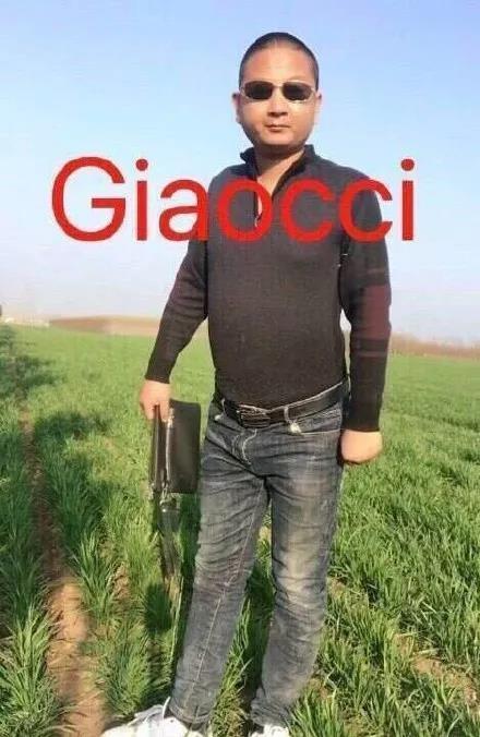 giao不仅人红,同时表情包也是走红了一大波,无论是gif动图,或者是卤蛋