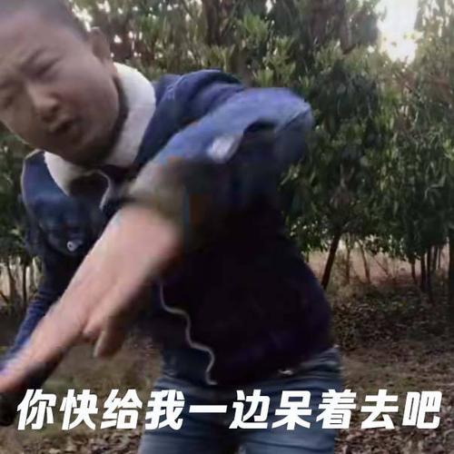 giao不仅人红,同时表情包也是走红了一大波,无论是gif动图,或者是卤蛋